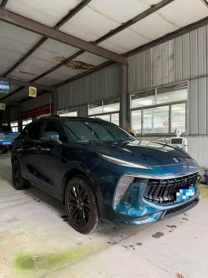 22年枣庄东风风行游艇