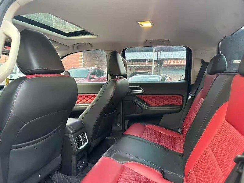 21年淄博长城汽车炮 皮卡