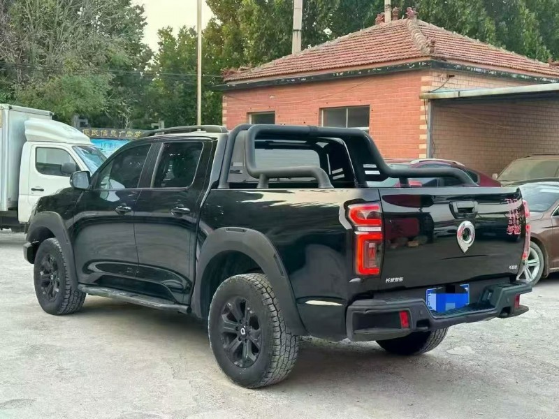 21年淄博长城汽车炮 皮卡