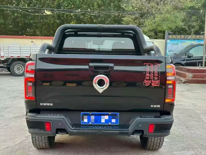 21年淄博长城汽车炮 皮卡