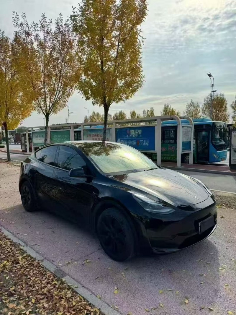 23年潍坊特斯拉MODEL Y