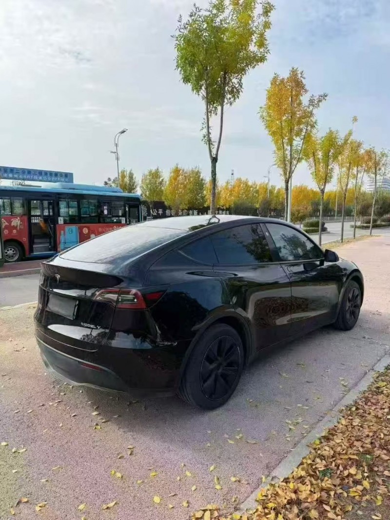 23年潍坊特斯拉MODEL Y
