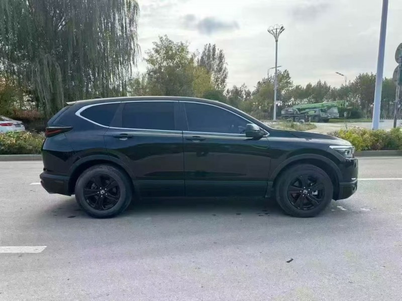 23年枣庄本田皓影