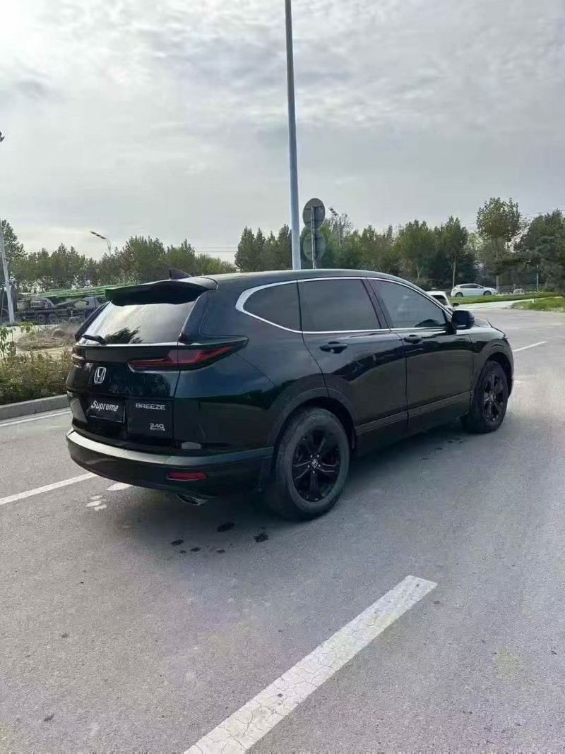 23年枣庄本田皓影