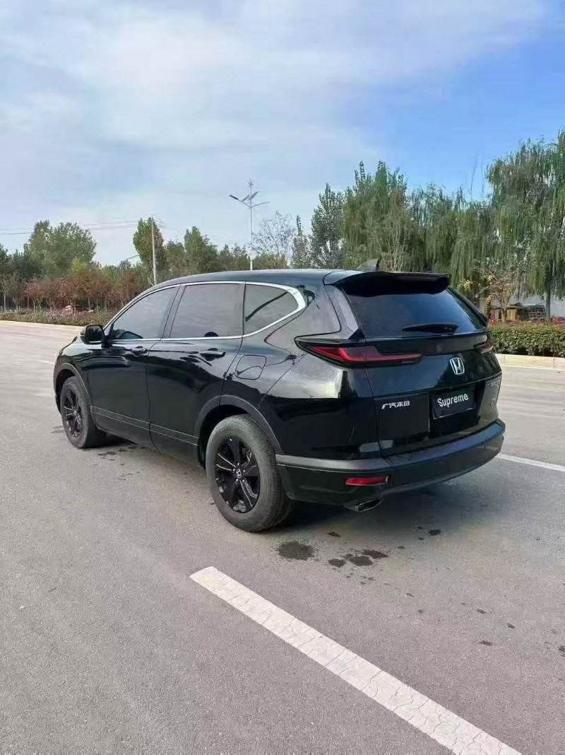 23年枣庄本田皓影