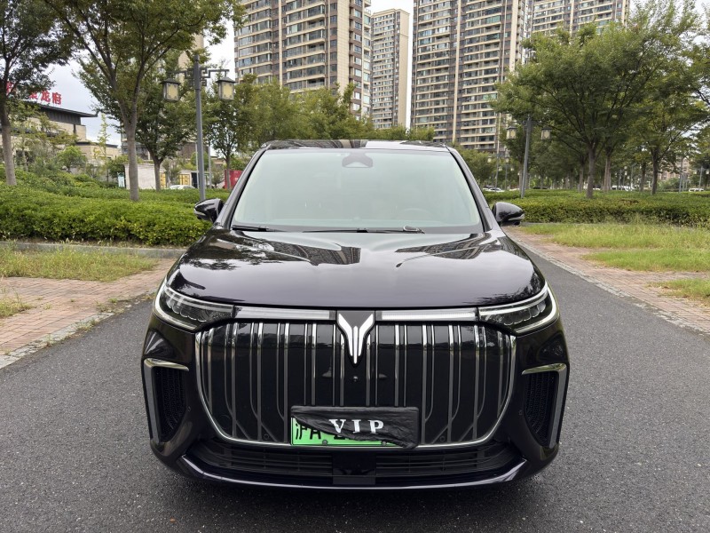 24年盐城岚图汽车梦想家