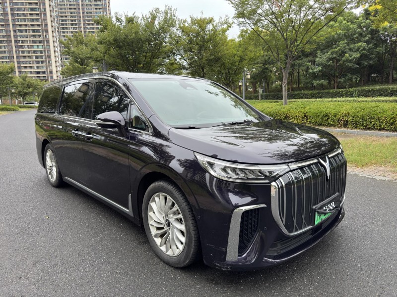 24年盐城岚图汽车梦想家