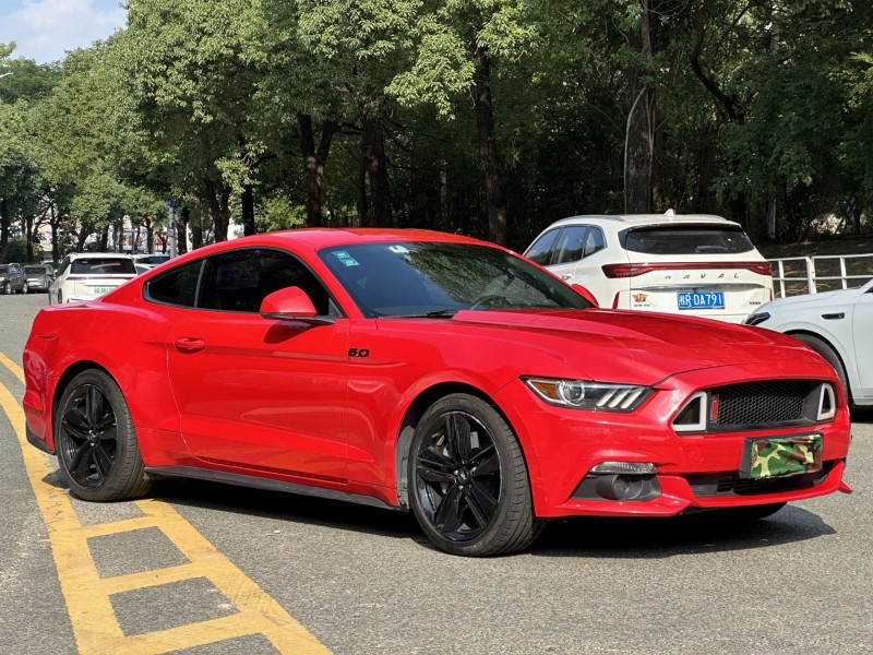 18年东莞市福特野马