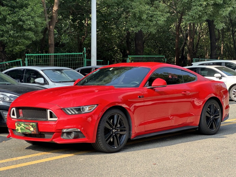 18年东莞市福特野马