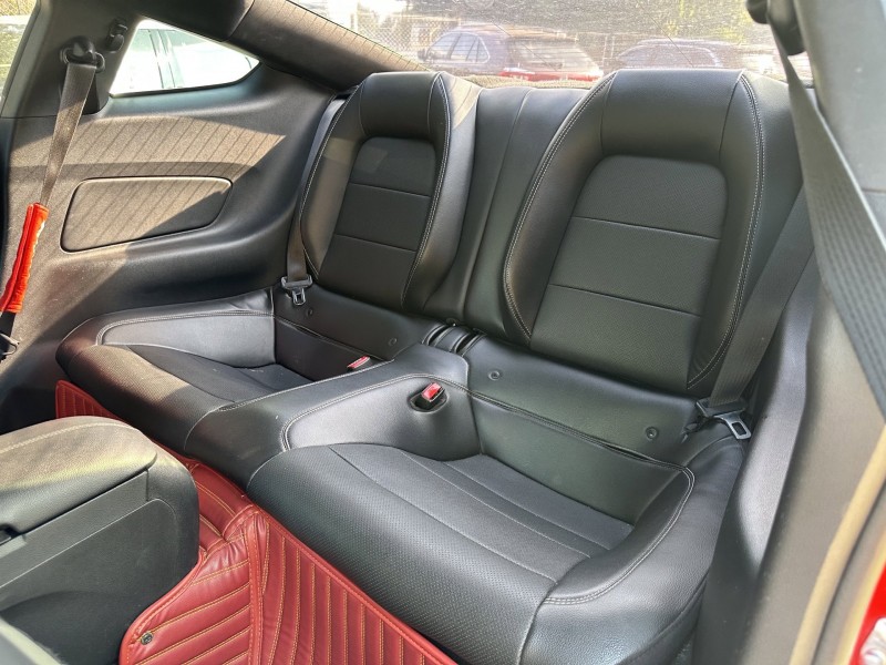 18年东莞市福特野马