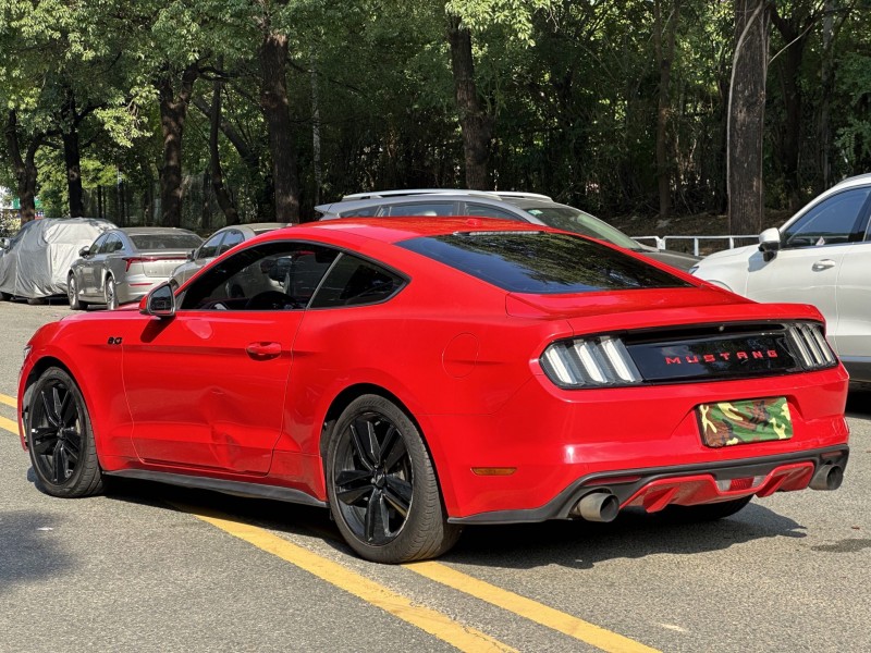 18年东莞市福特野马