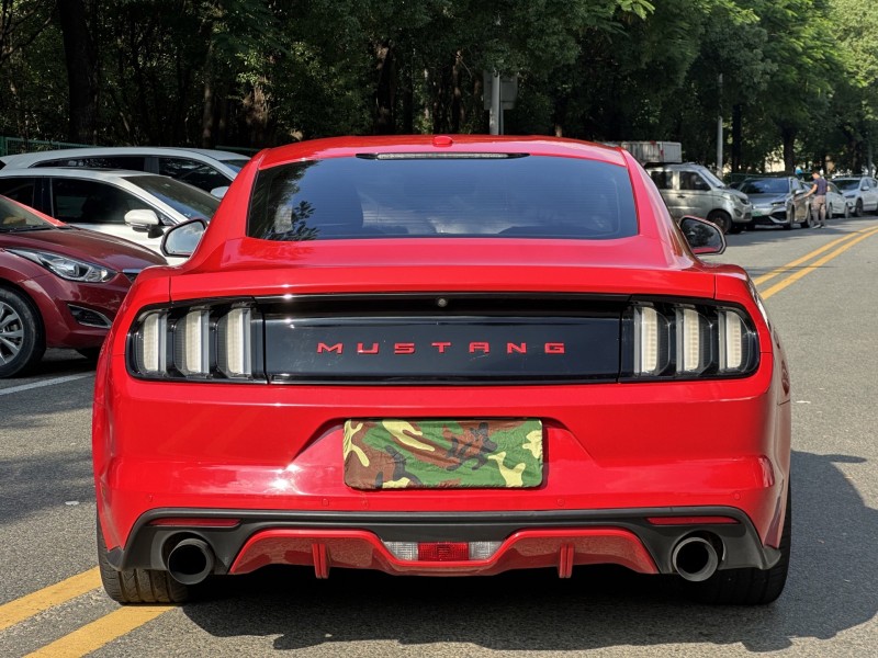 18年东莞市福特野马