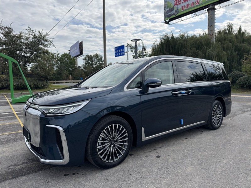 25年盐城岚图汽车梦想家