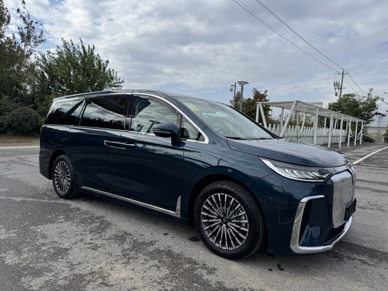 25年盐城岚图汽车梦想家