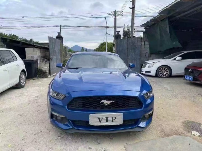 17年深圳福特野马