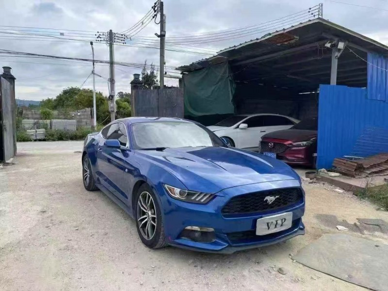 17年深圳福特野马