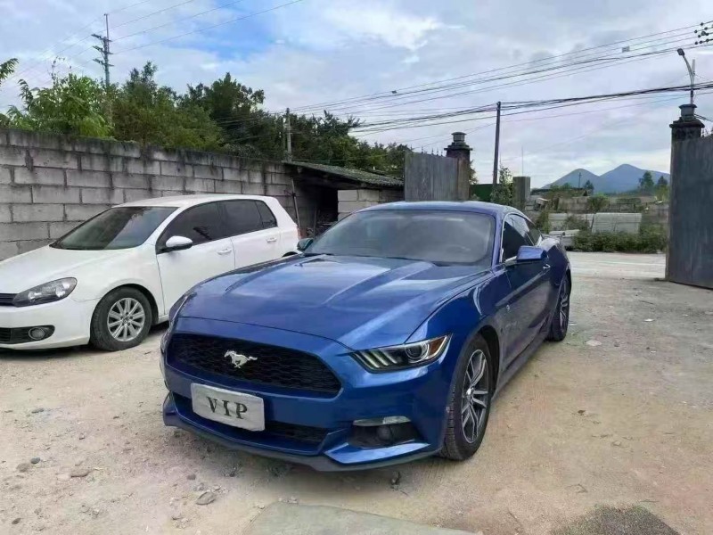 17年深圳福特野马