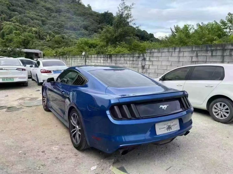 17年深圳福特野马