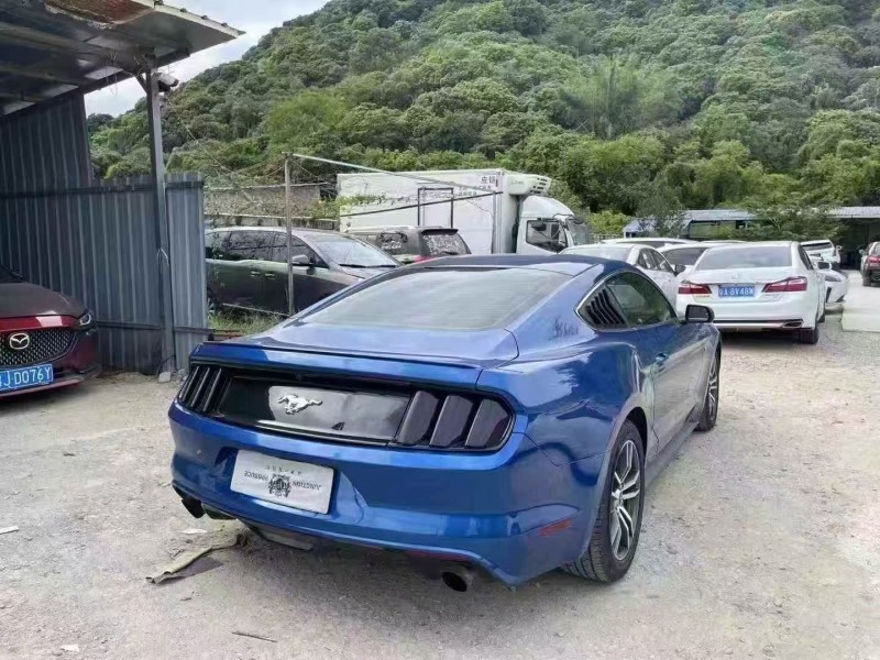 17年深圳福特野马