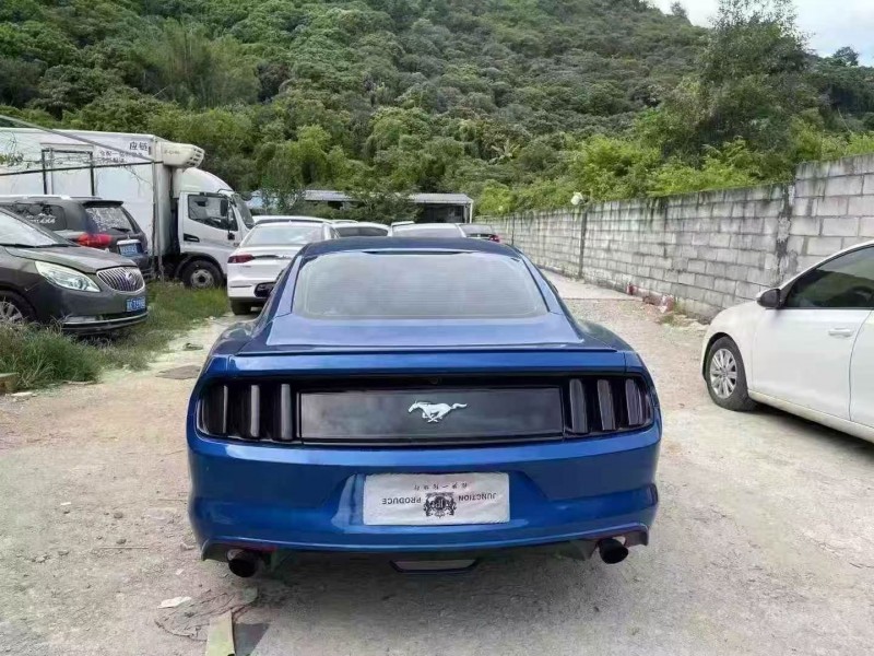 17年深圳福特野马