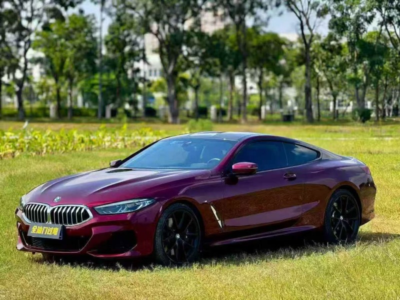 21年汕头宝马8系