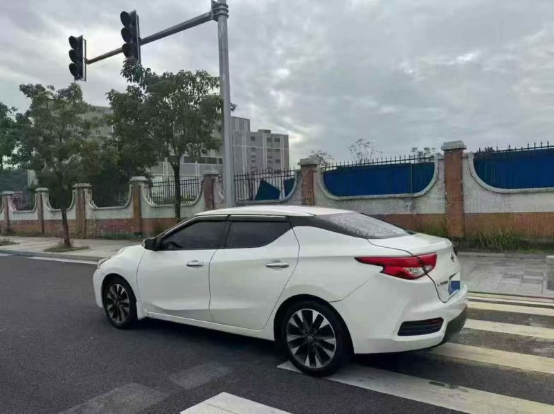 19年深圳日产蓝鸟