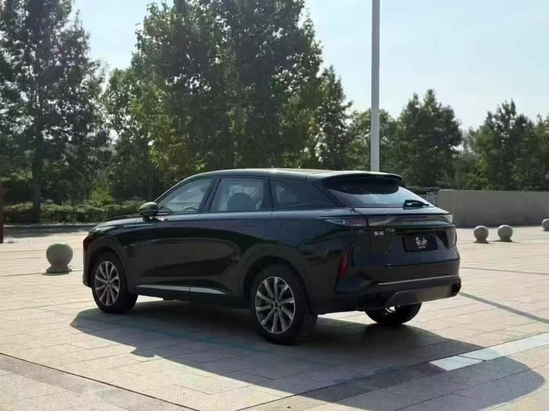 25年泰安奇瑞星途