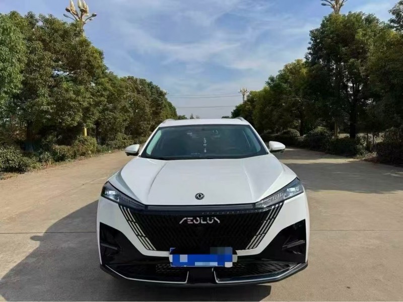 25年南京东风风神水星