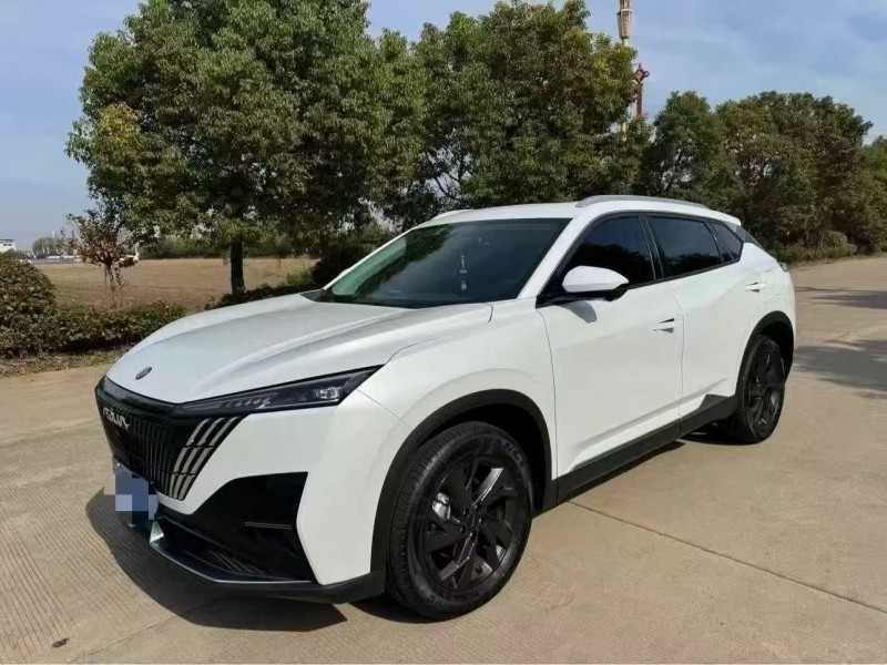 25年南京东风风神水星