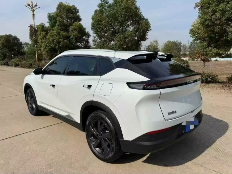 25年南京东风风神水星