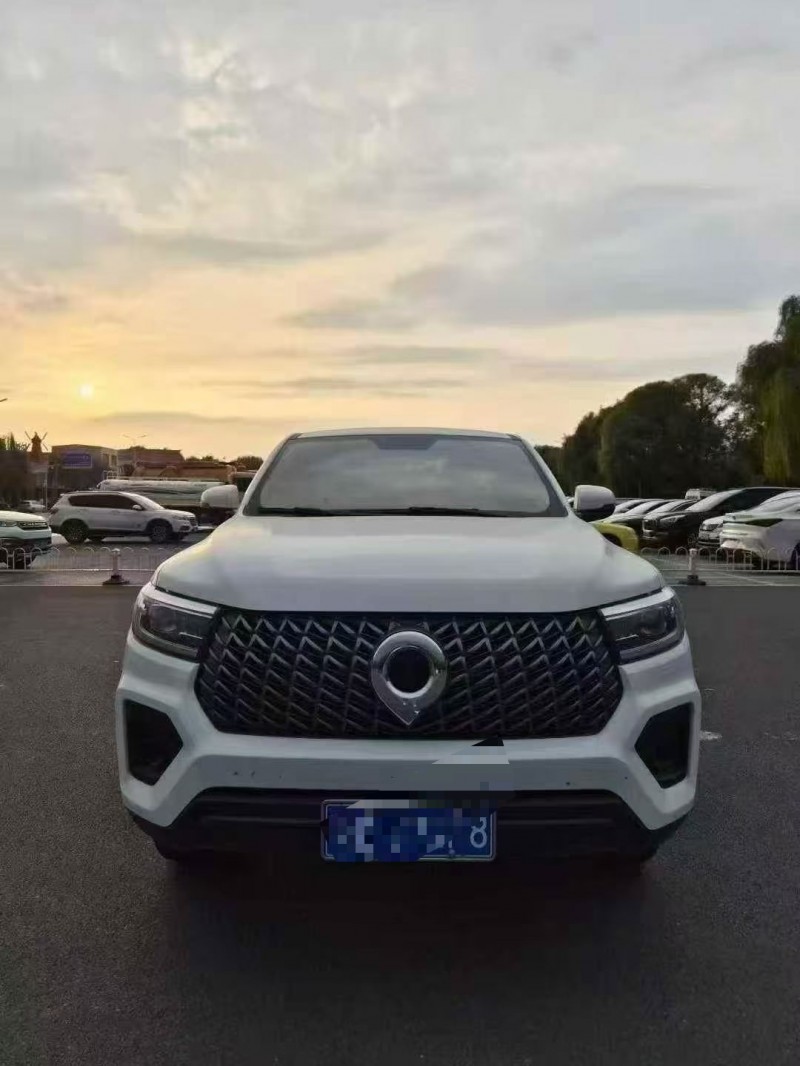 24年鹤壁长城汽车炮 皮卡