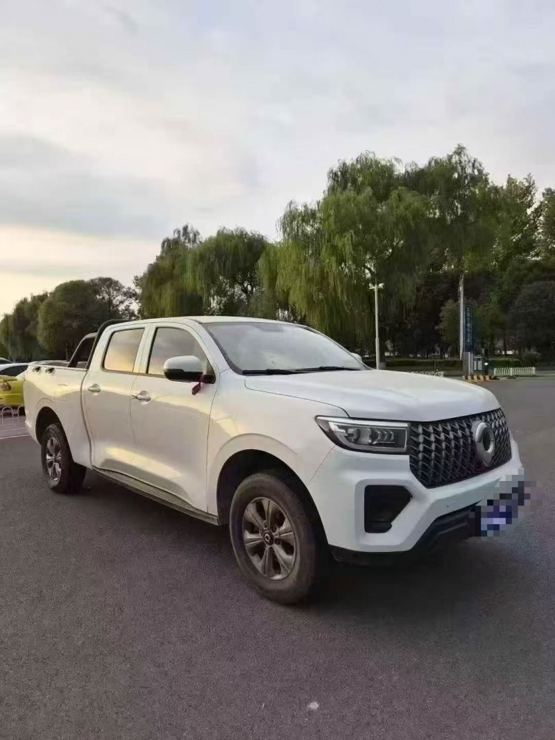 24年鹤壁长城汽车炮 皮卡