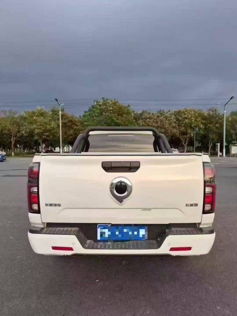 24年鹤壁长城汽车炮 皮卡