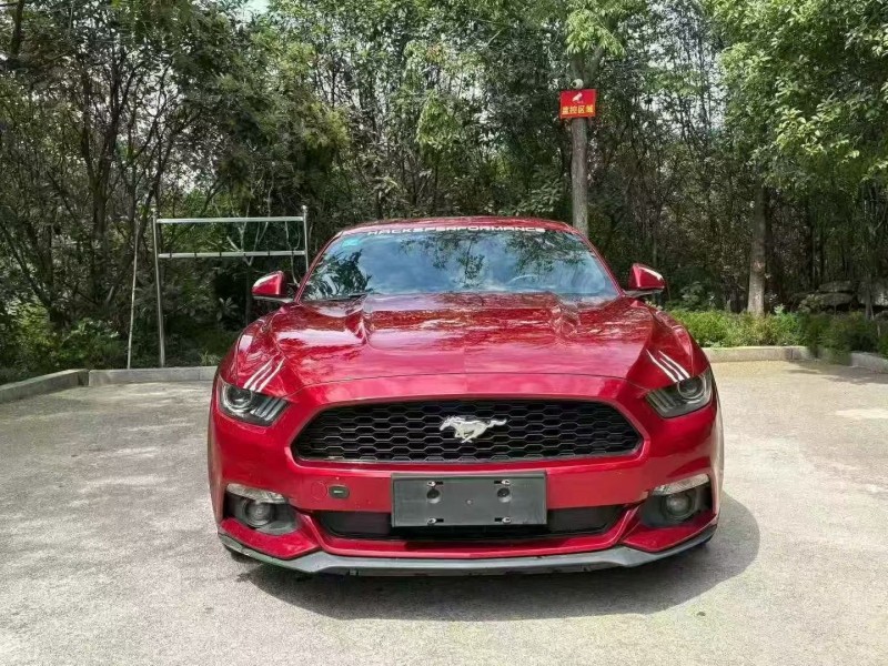 18年枣庄福特野马