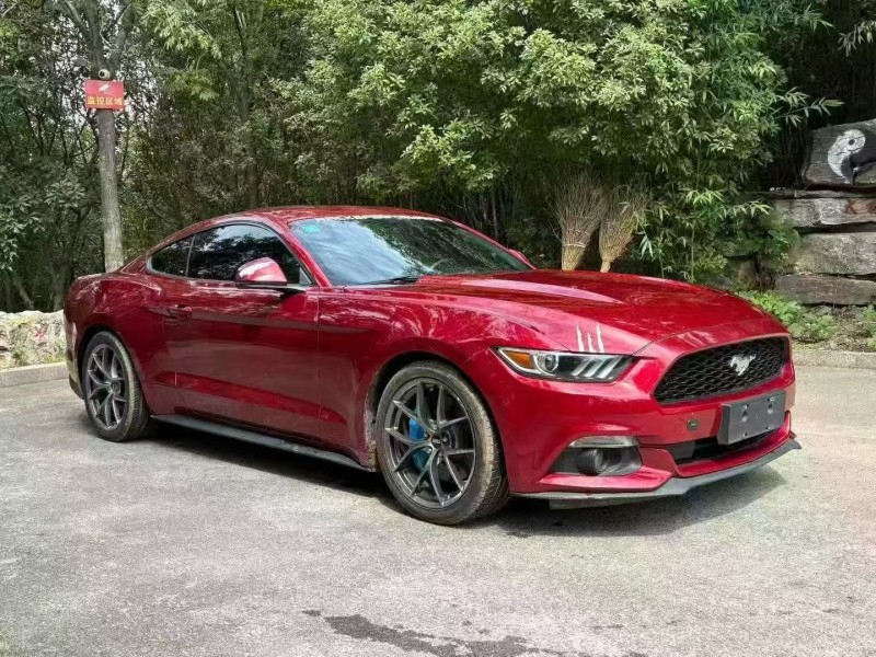 18年枣庄福特野马