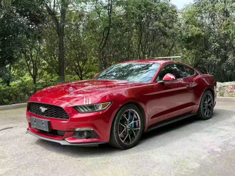 18年枣庄福特野马