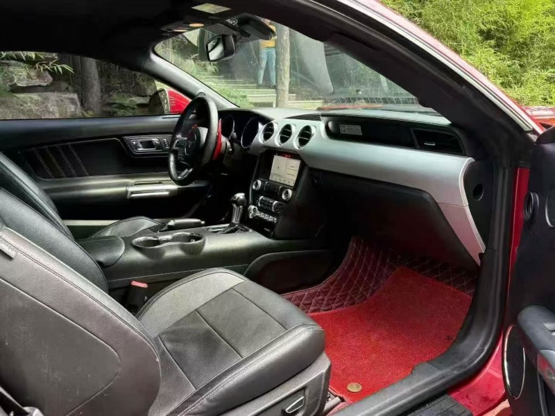 18年枣庄福特野马