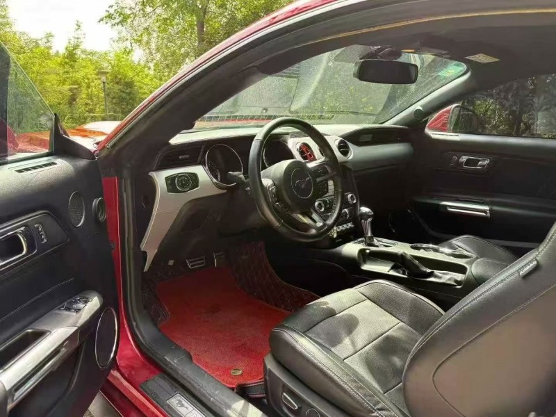 18年枣庄福特野马