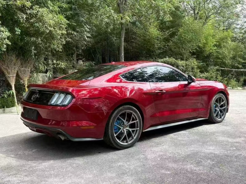 18年枣庄福特野马