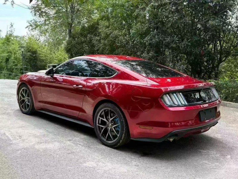 18年枣庄福特野马