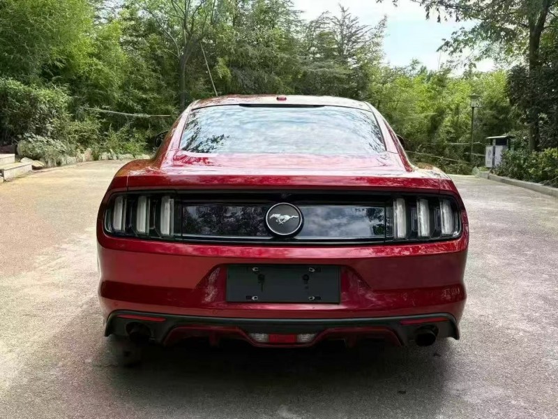 18年枣庄福特野马