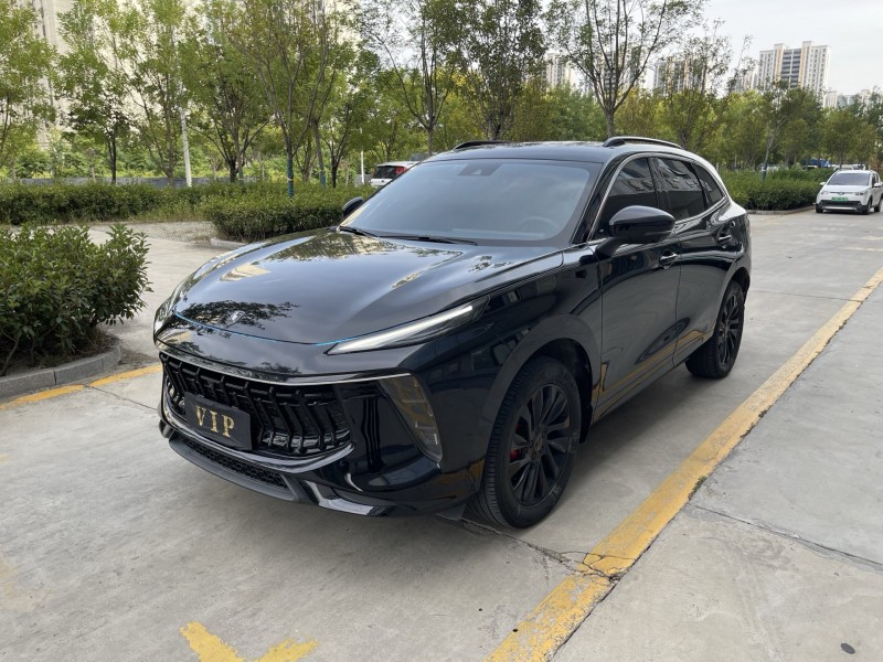 23年济宁东风风行游艇