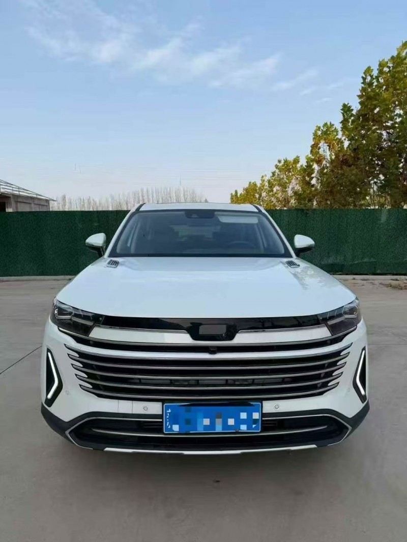 24年枣庄奔腾T99