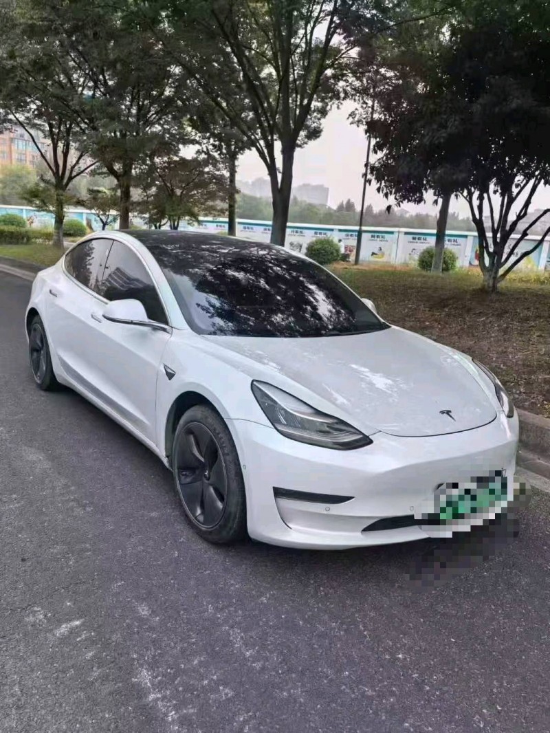 19年温州特斯拉MODEL 3