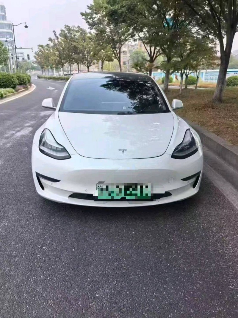 19年温州特斯拉MODEL 3