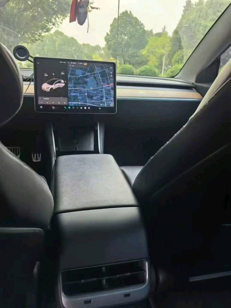 19年温州特斯拉MODEL 3