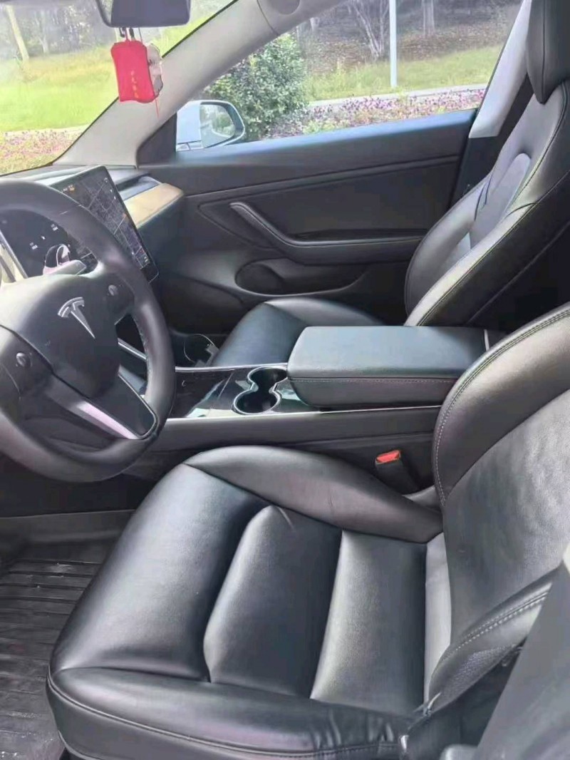 19年温州特斯拉MODEL 3
