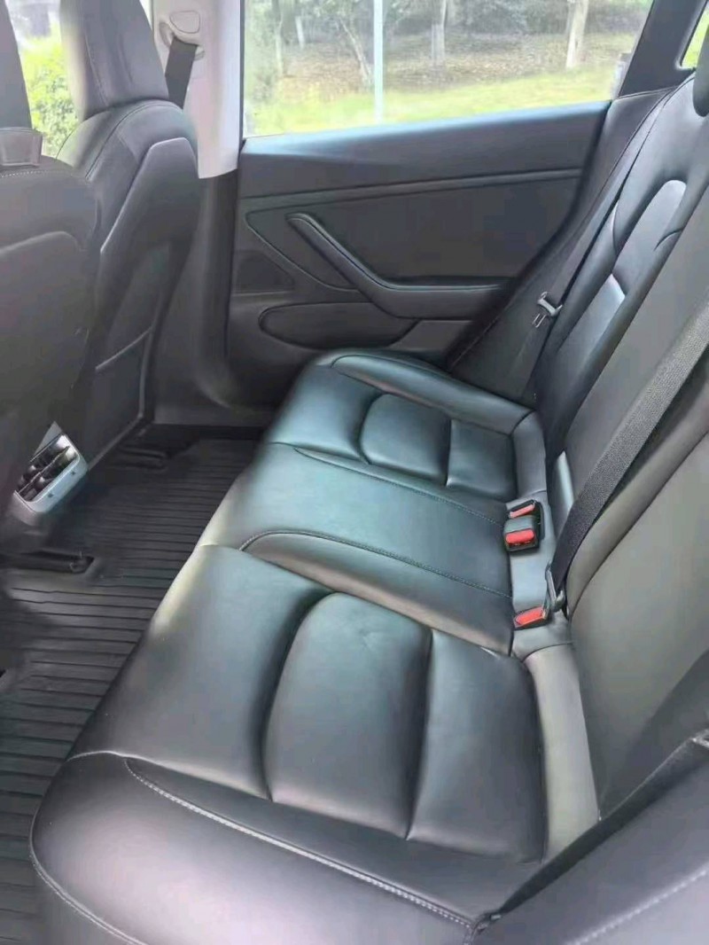 19年温州特斯拉MODEL 3