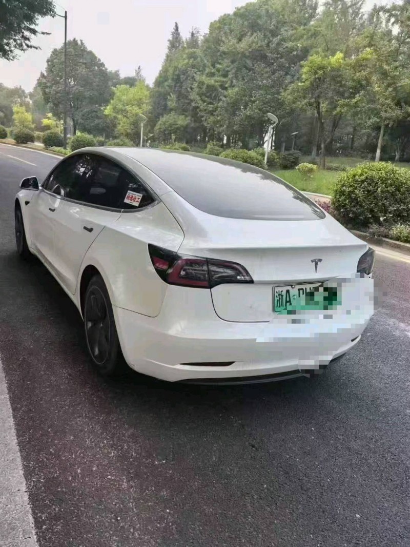19年温州特斯拉MODEL 3