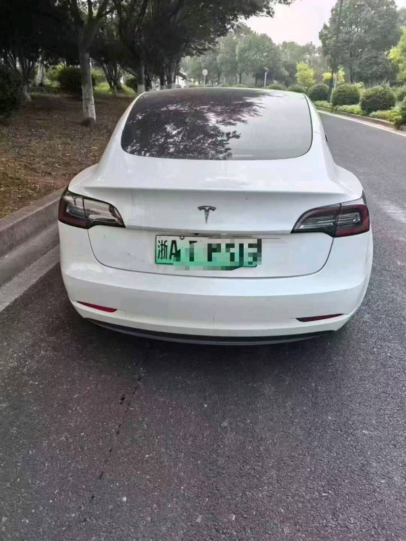 19年温州特斯拉MODEL 3